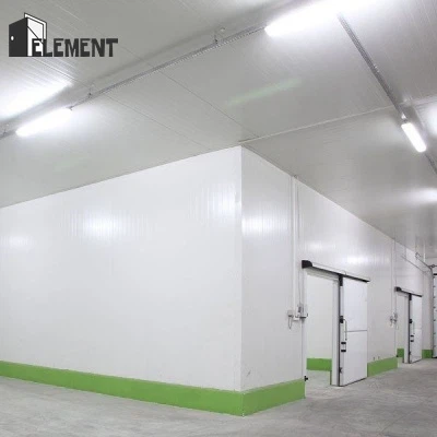 Sandwich Panel Cold Room